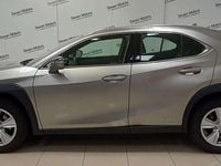 Usata Lexus UX 250h Business Edition 184 CV (135 kW) 2022 Grigio SUV