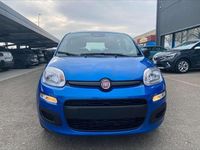 Nuova Fiat Panda Icon 65 CV (47 kW) 2026 Giallo positano / tetto nero Utilitaria