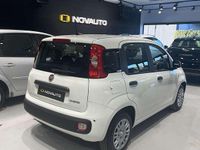 Nuova Fiat Panda Icon 69 CV (50 kW) 2025 Bianco Utilitaria