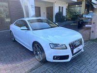 Usata Audi A5 Ambiente 354 CV (260 kW) 2010 Bianco Coupé