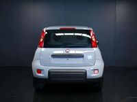 Usata Fiat Panda S 69 CV (50 kW) 2023 Grigio Berlina