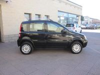 usata Fiat Panda 4x4 1.2 Climbing UNICAPRO (ok anche neopatentati)