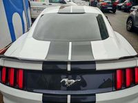 Usata Ford Mustang Fastback 317 CV (233 kW) 2016 Coupé