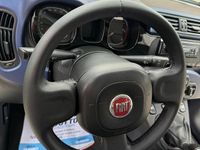 Usata Fiat Panda Easy 75 CV (55 kW) 2015 Grigio Utilitaria