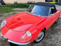 Usata Alfa Romeo Spider Veloce 131 CV (96 kW) 1966 Bianco Cabrio