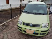 Usata Fiat Panda Dynamic 60 CV (44 kW) 2005 Verde Utilitaria