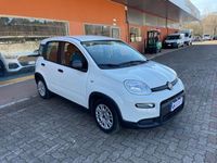 Usata Fiat Panda S 71 CV (52 kW) 2023 Bianco Utilitaria