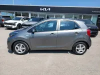 Usata Kia Picanto Plus 67 CV (49 kW) 2023 Grigio Utilitaria