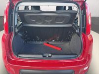 Usata Fiat Panda 70 CV (51 kW) 2024 Rosso Utilitaria