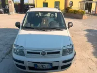 Usata Fiat Panda 60 CV (44 kW) 2010 Giallo Utilitaria