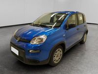 Usata Fiat Panda S 69 CV (50 kW) 2024 Blu italia Utilitaria