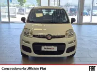 Usata Fiat Panda Easy 69 CV (50 kW) 2017 Bianco Utilitaria