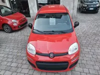 Usata Fiat Panda 69 CV (50 kW) 2017 Rosso Utilitaria