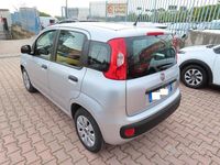 Usata Fiat Panda 69 CV (50 kW) 2017 Grigio Utilitaria