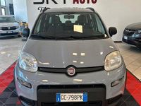 Usata Fiat Panda 4x4 S 85 CV (62 kW) 2020 Grigio Utilitaria