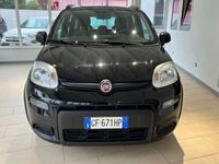 usata Fiat Panda 1.0 FireFly S&S Hybrid City Life