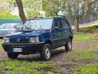 Usata Fiat Panda 4x4 Climbing 54 CV (39 kW) 2003 Utilitaria