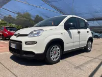 Usata Fiat Panda S 70 CV (51 kW) 2023 Bianco Utilitaria