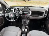 Usata Fiat Panda Cross Cross 95 CV (69 kW) 2017 Verde Utilitaria
