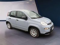 Usata Fiat Panda S 69 CV (50 kW) 2022 Grigio Utilitaria