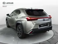 Usata Lexus UX 184 CV (135 kW) 2020 Grigio SUV