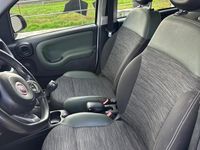 Usata Fiat Panda 4x4 S 95 CV (69 kW) 2017 Bianco Utilitaria