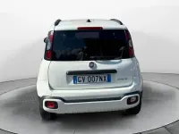 Usata Fiat Panda Cross Cross 69 CV (50 kW) 2024 Bianco Utilitaria