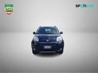 Usata Fiat Panda 4x4 S 95 CV (69 kW) 2017 Blu Utilitaria