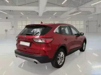 Usata Ford Kuga Business Edition 119 CV (87 kW) 2021 SUV