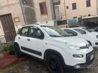 Usata Fiat Panda 4x4 S 85 CV (62 kW) 2020 Bianco Utilitaria