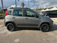 Usata Fiat Panda Cross Cross 85 CV (62 kW) 2020 Grigio Utilitaria
