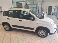 Begagnad Fiat Panda Easy 70 HK (51 kW) 2021 Vit Halvkombi