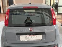 Usata Fiat Panda Easy 69 CV (50 kW) 2020 Grigio Utilitaria