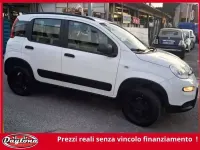 Usata Fiat Panda 4x4 Wild 86 CV (63 kW) 2023 Bianco perla Utilitaria