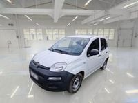 Usata Fiat Panda Pop 69 CV (50 kW) 2022 Utilitaria