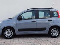 Usata Fiat Panda City Life 69 CV (50 kW) 2022 Grigio Utilitaria