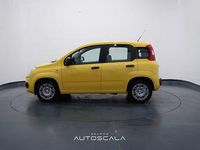 Nuova Fiat Panda S 69 CV (50 kW) 2025 Giallo Utilitaria