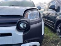 Usata Fiat Panda Cross Cross 70 CV (51 kW) 2025 Bianco Utilitaria