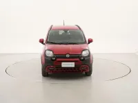 Usata Fiat Panda Cross Cross 69 CV (50 kW) 2024 Rosso Utilitaria