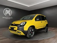 Usata Fiat Panda Cross Cross 95 CV (69 kW) 2019 Giallo pastello Utilitaria