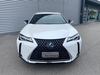 usata Lexus UX 250h Hybrid Premium Bianco Perla