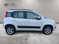 Usata Fiat Panda Lounge 80 CV (58 kW) 2015 Bianco Utilitaria