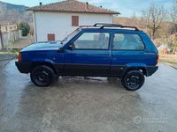 Usata Fiat Panda 4x4 Trekking 54 CV (39 kW) 1999 Blu Utilitaria