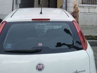 usata Fiat Punto 12 Benzina 5 porte s&s Active