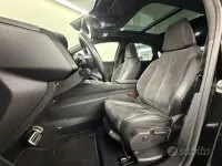 Usata DS Automobiles DS7 Crossback Business 131 CV (96 kW) 2019 SUV