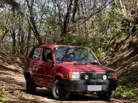 Usata Fiat Panda 54 CV (39 kW) 2001 Rosso Berlina