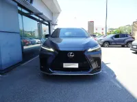 Usata Lexus NX300h Sport Line 243 CV (178 kW) 2022 Grigio SUV
