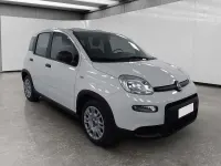 Usata Fiat Panda S 70 CV (51 kW) 2023 Bianco Utilitaria