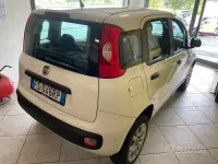 Usata Fiat Panda Easy 80 CV (58 kW) 2018 Bianco Utilitaria