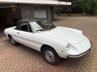 Usata Alfa Romeo Spider 120 CV (88 kW) 1971 Bianco Cabrio